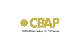 Certified Business Analysis Professional (CBAP) Certification